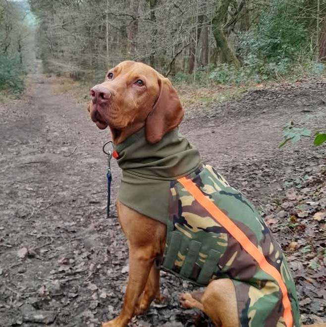 Contact for dog services Congleton